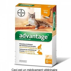 Advantage - Anti-puces 40 < 4Kg pour Chat - 6x0,4ml