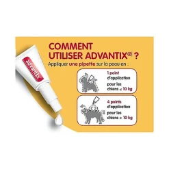 Advantix - Antiparasitaire 25 à 40 Kg pour Grand Chien - 6x4ml