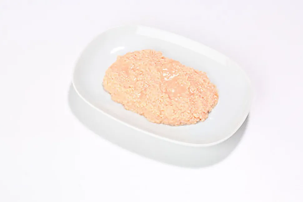 Almo Nature - Pâtée en Boîte HFC Natural Kitten Poulet pour Chaton - 70g