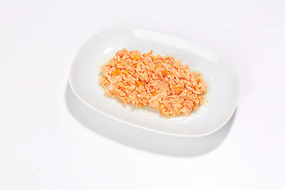 Almo Nature - Pâtée en Boîte HFC Natural Poulet avec Potiron pour Chat - 70g