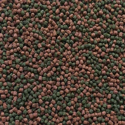 Amtra - Aliment Pro Oranda Gran pour Poissons