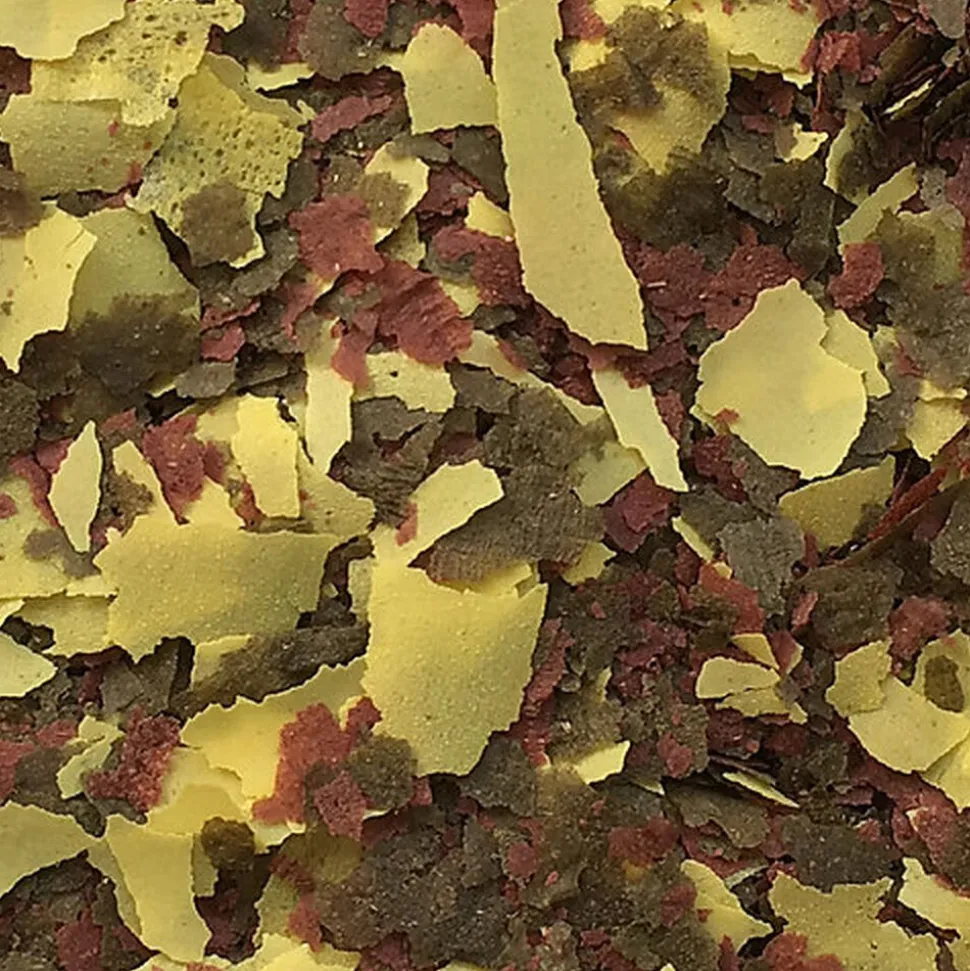 Amtra - Aliment Pro Oranda Flake pour Poissons