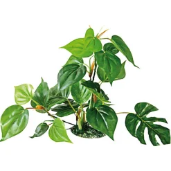 Amtra - Décoration Plant Replica Anubias - 30cm