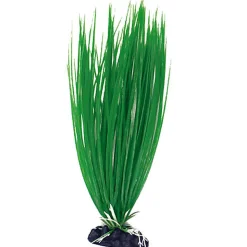 Amtra - Décoration Plante Classic Acorus - S