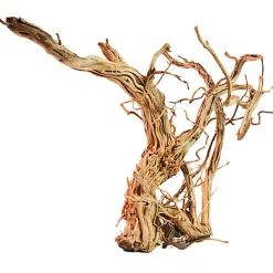 Amtra - Racine Bois Dragon Skin - S