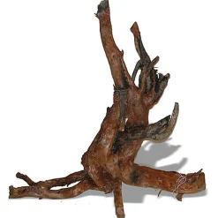 Amtra -  Racine Naturelle Moorwood - L