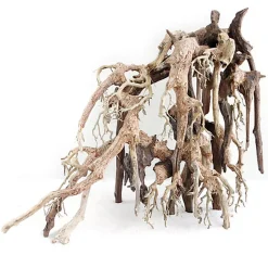 Amtra -  Racine Naturelle Oriental Wind 1 - M