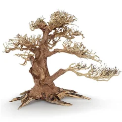 Amtra -  Racine Naturelle Oriental Wind 4 - L