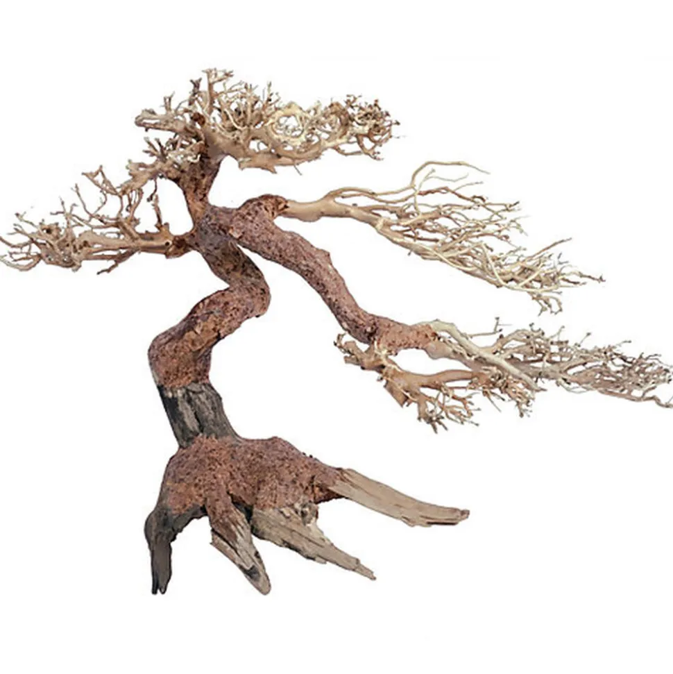 Amtra - Racine Naturelle Oriental Wind 5 - S