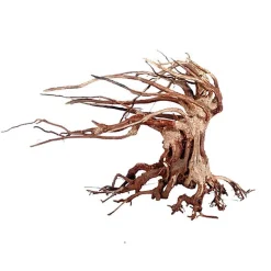 Amtra -  Racine Naturelle Oriental Wind 6 - S