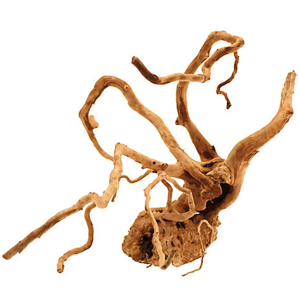 Amtra - Racine Naturelle Red Wood - 40-45cm