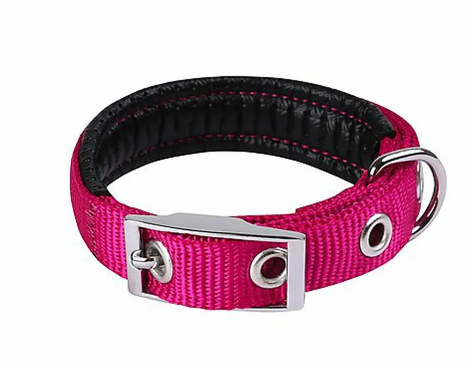 Animalis - Collier Basic Confort pour Chien Fuchsia