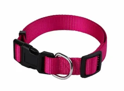Animalis - Collier Basic pour Chien Fuchsia
