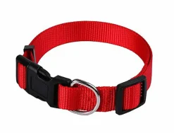 Animalis - Collier Basic pour Chien Rouge
