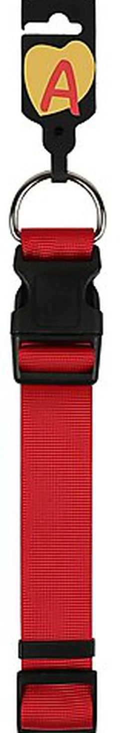 Animalis - Collier Basic pour Chien Rouge