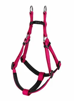 Animalis - Harnais Basic Confort pour Chien - Fuchsia