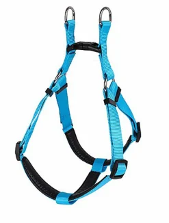 Animalis - Harnais Basic Confort pour Chien - Bleu