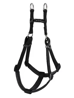 Animalis - Harnais Basic Confort pour Chien - Noir