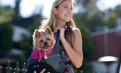 Animalis - Sac à Dos Transport pour Chien et Chat - Bordeaux