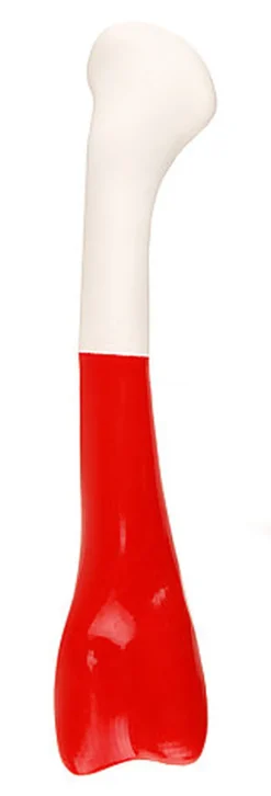 Anka - Jouet Os en TPR Bicolore pour Chien