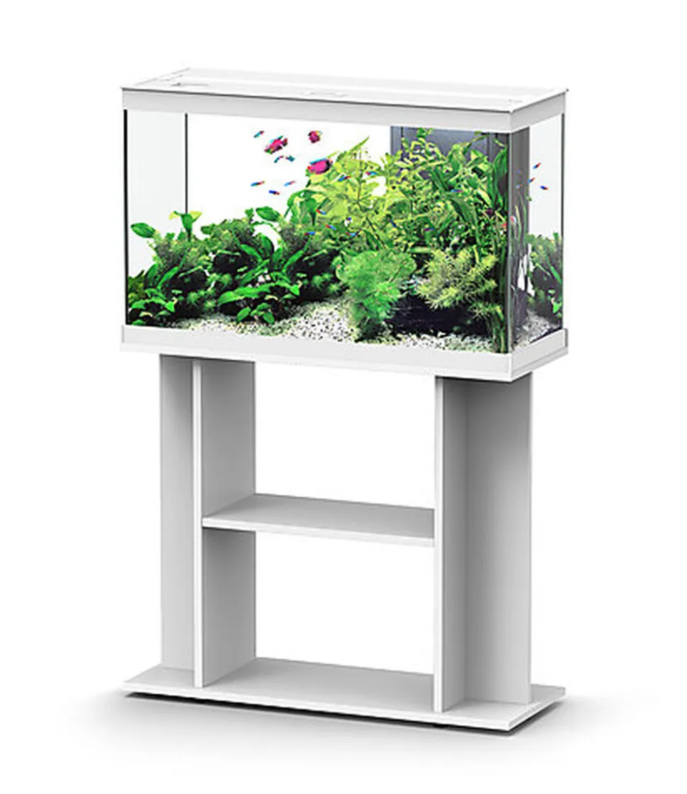 Aquadisio - Aquarium Alto 80cm - Blanc