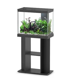 Aquadisio - Aquarium Alto 60cm - Noir