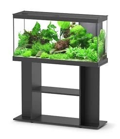 Aquadisio - Aquarium Alto 100cm - Noir