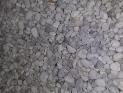 Aquadisio - Quartz Blanc Gros pour Aquarium