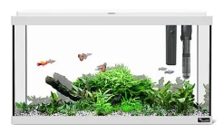 Aquatlantis - Aquarium Explorer Paris 60 - Gris Equipé