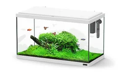 Aquatlantis - Aquarium Explorer Paris 60 - Blanc Equipé