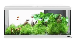 Aquatlantis - Aquarium Explorer Brussel 80 - Gris Bio Equipé