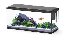 Aquatlantis - Aquarium Explorer Amsterdam 80 Equipé