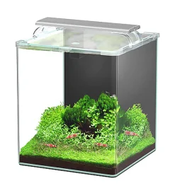 Aquatlantis - Aquarium Kubus Curve 30L - Essential