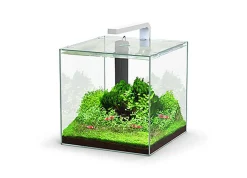 Aquatlantis - Aquarium Kubus 22L - Equipé