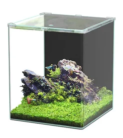 Aquatlantis - Aquarium Kubus Curve 65L - Basic