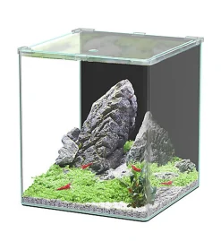 Aquatlantis - Aquarium Kubus Curve 44L - Basic