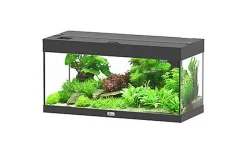 Aquatlantis - Aquarium Prestige 80 - Noir Led 2.0 EQP