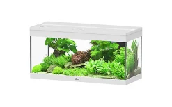 Aquatlantis - Aquarium Prestige 80 - Blanc Led 2.0 EQP