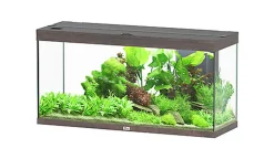 Aquatlantis - Aquarium SPLENDID Led 2.0 Equipé Chêne Brun - 240L