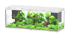 Aquatlantis - Aquarium SUBLIME 200 Led Gris Béton - 853L