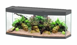 Aquatlantis - Aquarium SUBLIME HORIZON 150 Led Anthracite - 363L