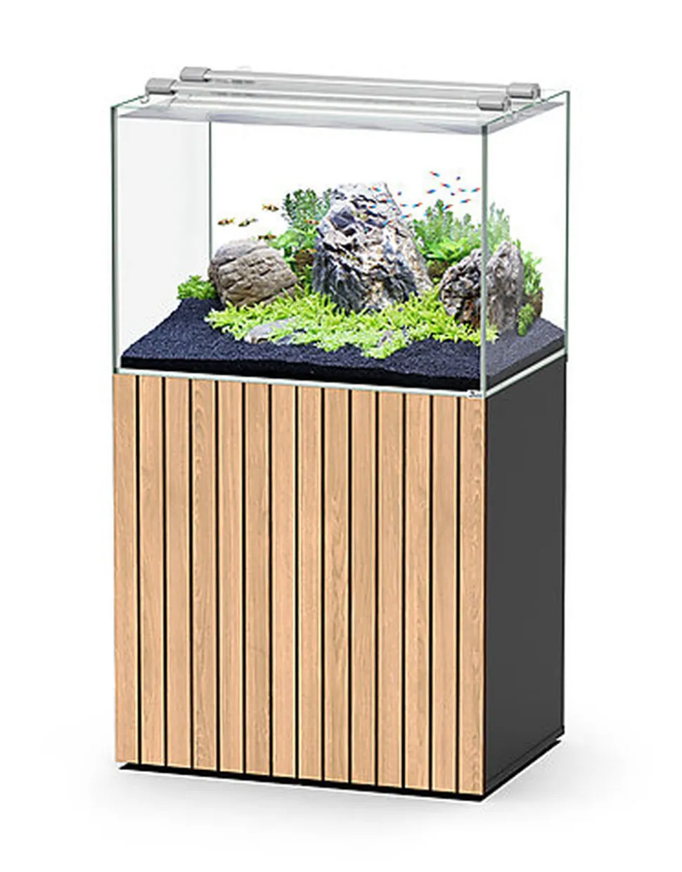 Aquatlantis - Ensemble Aquarium + Meuble Aquascape 80 - Led Noir avec Porte STRIÉ