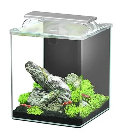 Aquatlantis - Kit Aquarium Kubus Curve 20L Equipé