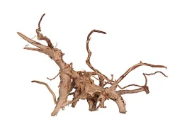 Aquavie - Décoration Racine Araignée pour Aquarium d'Eau Douce - 50/80cm