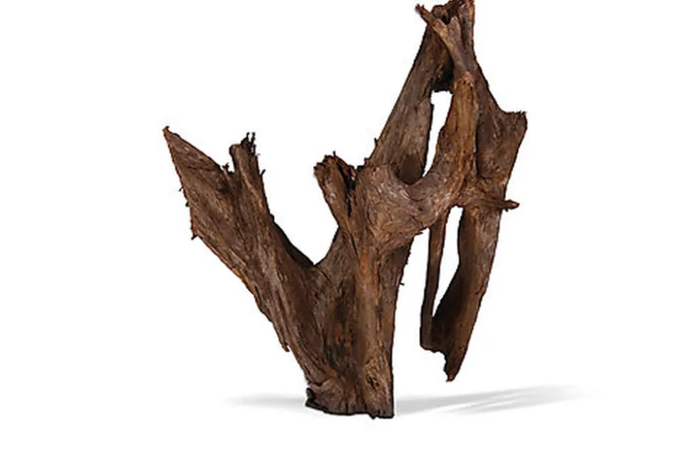 Aquavie - Décoration Racine Mangrove pour Aquarium - GM