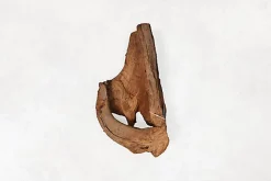 Aquavie - Décoration Racine Mangrove pour Aquarium - GM