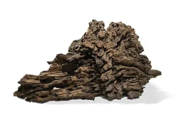 Aquavie - Racine Poonkanatur 20/40cm - S