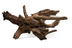 Aquavie - Racine Sinknatur 20/45cm - S