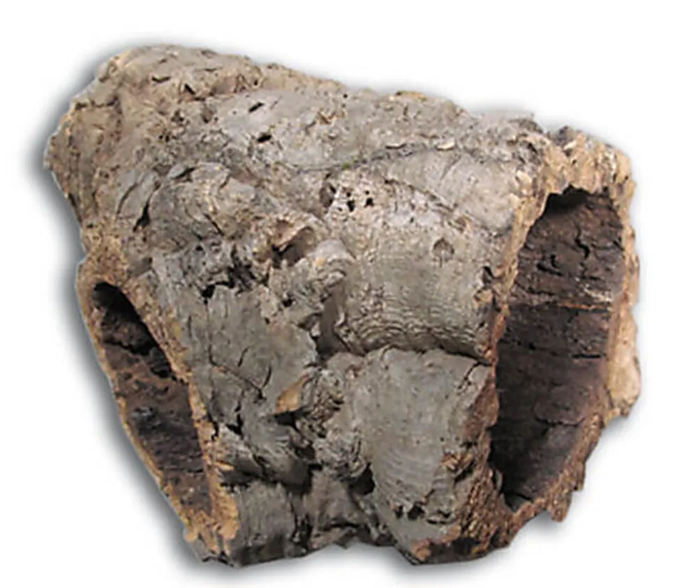 Aquavie - Tube de Liège pour Terrarium - 2cm