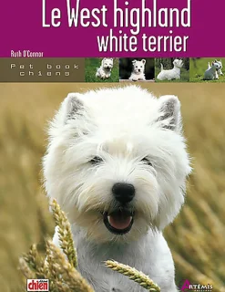 Artémis - La West Highland White Terrier